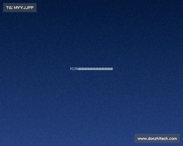 FC25粉卡五强阵容萨拉赫帕尔默杜埃贝尔皮尔洛领衔登场